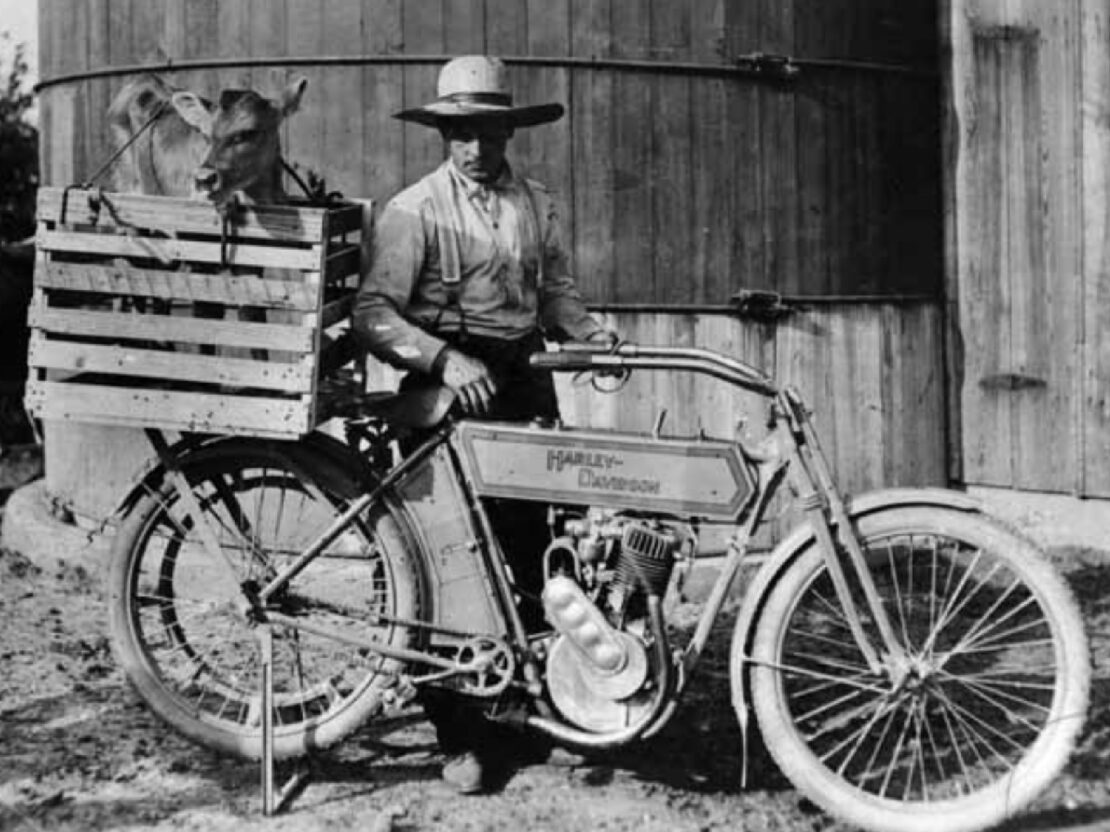 A black and white photograph showing a man standing behind a motorcycle in front of a building. On the back of the bike is a wooden crate, and inside the crate is a calf.
